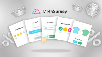 MetaSurvey — Plus exclusive